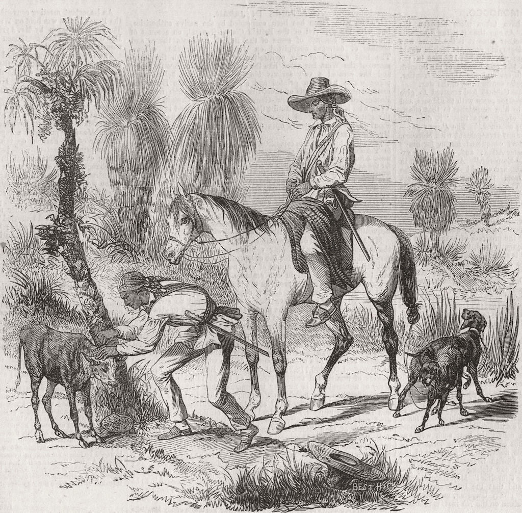 CUBA. Sabaneros, Isle of Cuba 1860 old antique vintage print picture